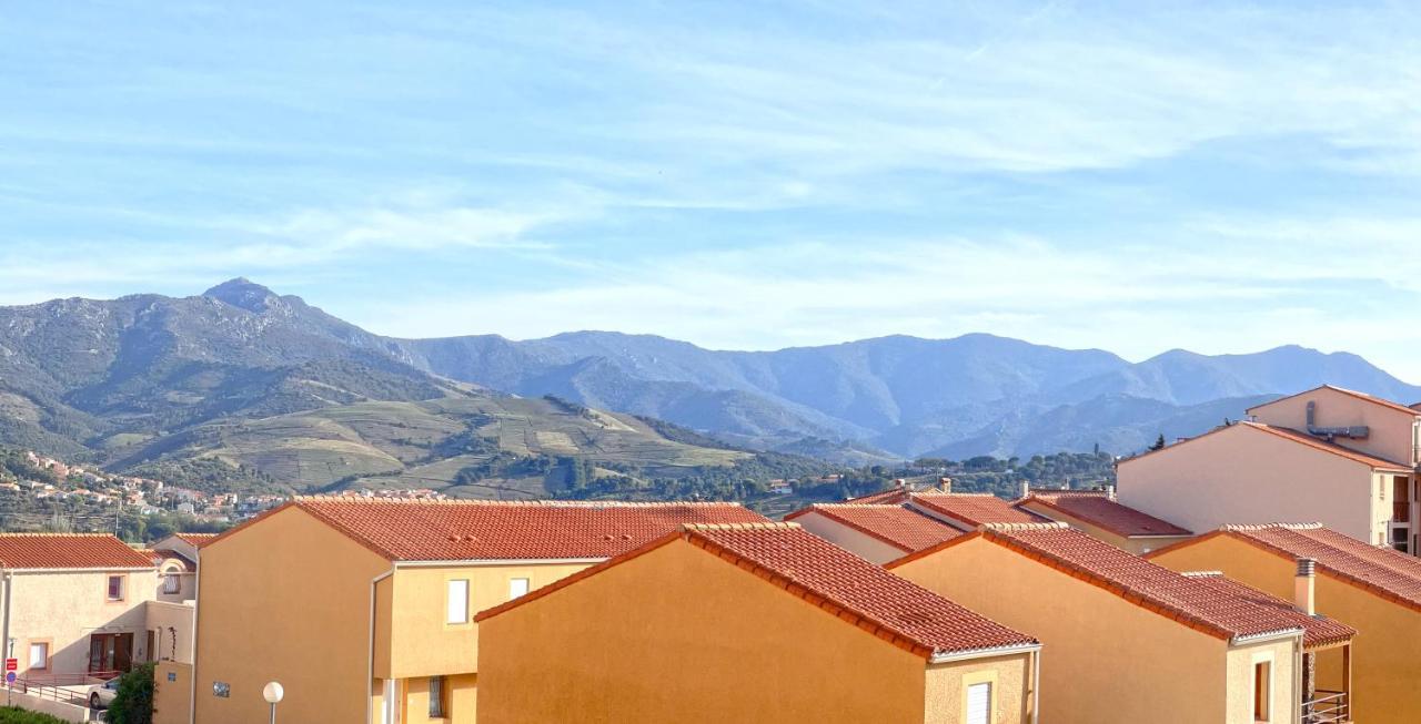 Appartement Lumineux Entre Plage Et Montagne 滨海巴纽尔斯 外观 照片