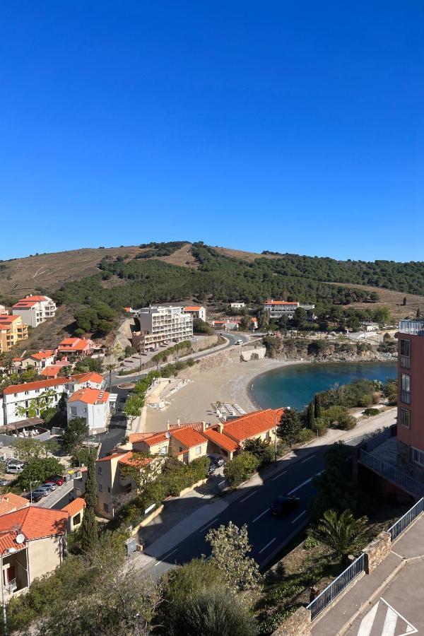 Appartement Lumineux Entre Plage Et Montagne 滨海巴纽尔斯 外观 照片